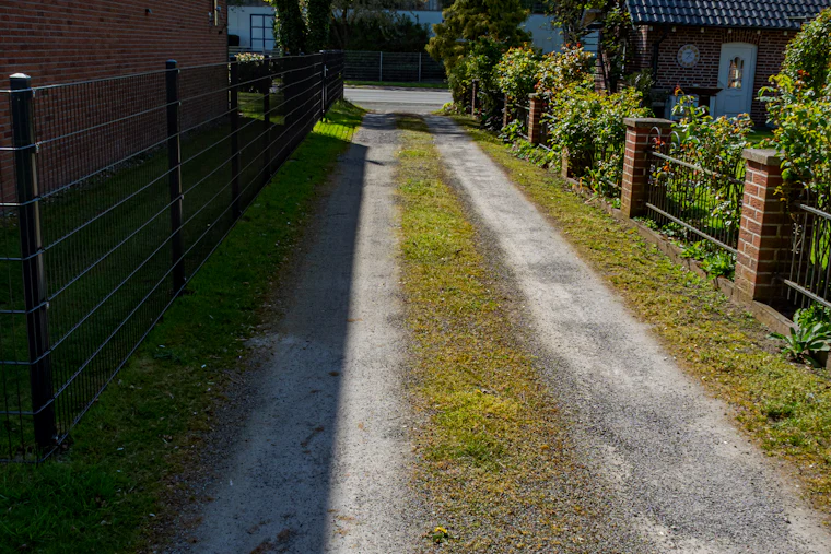 Grusad uppfart mellan häckar